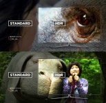 넷플릭스 측 옥자는 시작, 돌비애트모스 사운드 스트리밍