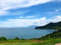 서지니호도 찰칵…한지민, 삼시세끼 촬영 인증샷 공개