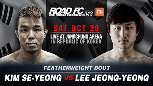코리안 타이거 이정영, UFC 두 번째 경기서 아밀에게 TKO 패배