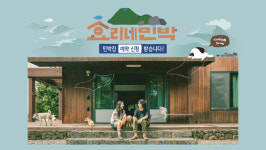 민박객과 추억 때문에…효리네민박 측이 밝힌 시즌2 비화 