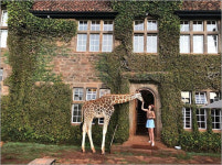 진재영 기린과 함께 영화 속 한 장면 같은 사진