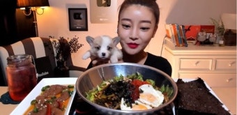 '300만 유튜버' 도로시, 반려견 펫샵 논란에…