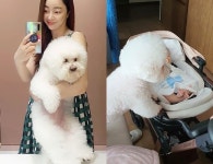 김수미 며느리 서효림 육아는 반려견에게, 육아 선배…애개 육아