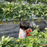 채림 아들, 편견 없이 많은 친구들과 함께 했으면…