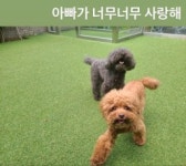 샤이니 키 내 새끼들, 아빠가 너무 너무 사랑해