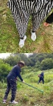 김동성♥ 인민정, 한여름 벌초도…오빠만 좋다면 만사 오케이