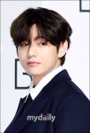 방탄소년단 뷔, 대구 모교에 33m 초대형 파노라마 벽화 설치