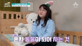 “동물 돼서 가족 버리고 숲에서 혼자 살고파” 금쪽이 속마음에 아빠 결국 눈물 (‘금쪽같은 내 새끼’)