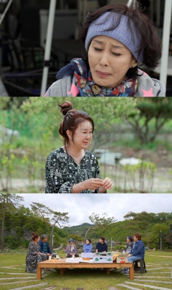 이경진, 파혼설 루머의 진실 '최초 고백' ('박원숙의 같이 삽시다')