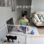 한영♥ 박군, 식분증 걸린 반려견과 대치?…똥먹 경계 근무!
