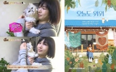 고양이의 날 이준호→박신혜, 연예계 소문난 냥집사 ★