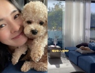 션♥ 정혜영, 집이 모델하우스 같네? 반려견도 산책 안나가고 싶겠어
