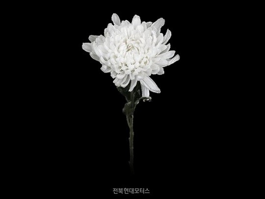 베트남, 미쓰비시컵 결승행! 김상식 감독 지휘로 싱가포르 완파하여 7년 만에 결승 무대 잠정 진출