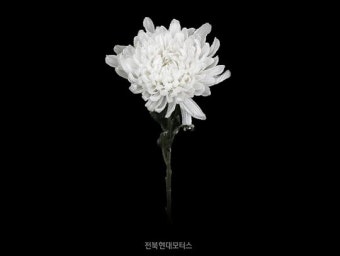베트남, 미쓰비시컵 결승행! 김상식 감독 지휘로 싱가포르 완파하여 7년 만에 결승 무대 잠정 진출