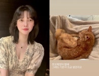 조금 말랐지만 귀엽죠…이장원♥ 배다해, 항암 준팔이 근황 전했다