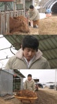 나혼산 기안84, 다시 깨어난 돌쇠DNA…밥값 하러 농장 출동 [오늘밤TV]
