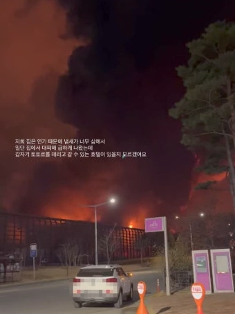 '대전 거주' 前티아라 소연, 남편+반려견과 긴급대피…