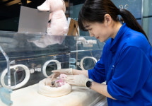 롯데월드 아쿠아리움 “펭귄 유치원 참관수업 오세요”