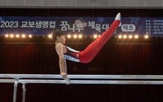 제39회 교보생명컵 꿈나무체조대회 성료, 홍천군에서 역대 최대 체조 꿈나무 선수 참가