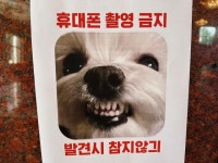아들맘 손예진, ♥현빈도 든든해할 응원받았다…엄마 파이팅 사랑해