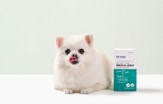 대상펫라이프 닥터뉴토, 반려견 기관지·심장 관리 보조제 출시