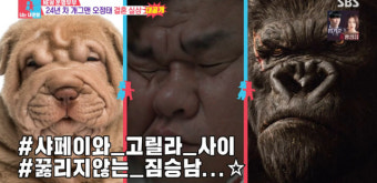 오정태 