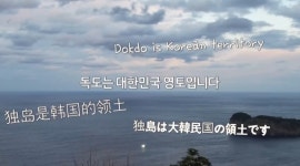 독도는 우리땅 외쳤다…日 네티즌 악플→韓팬들 응원 받은 ★ [MD이슈]