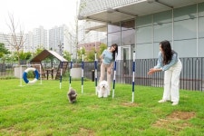 스타필드하남일꼬르소 | [마이펫] 스타필드 하남, 반려견 위한 야외 놀이터 ‘펫파크’ 오픈