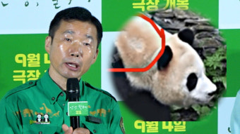 강철원 주키퍼 
