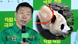 강철원 주키퍼 푸바오 中서 학대 논란? 지금은 잘 적응했을 거라 믿는다 (안녕, 할부지 제작보고회)
