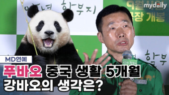 안녕, 할부지 출연 강철원 주키퍼, 추억 속 푸바오와의 이야기 전하다