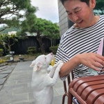 동물농장 아저씨 신동엽, 반려견과 행복한 시간 낮술 먹고 홍인종 됐네요 [MD★스타]