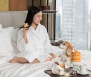 [마이펫] “댕댕이도 호캉스 가자” 반려동물 위한 ‘펫캉스’ 인기호텔은?