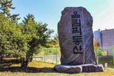 부산 해운대 시민의 휴식공간 올림픽공원…금융자사고 유치 적절한가?