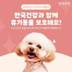 안국건강, 동물보호단체 ‘도로시지켜줄개’에 반려견 영양제 기부