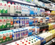 상반기 유업계 희비 엇갈려…‘남양’ 4분기 연속 흑자·‘매일’ 매출 성장 속 영업익↓