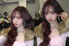 아이브 리즈, 이 콧대 실화야? 충격적 미모