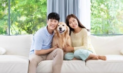[펫 상조 산업의 미래 下] 영원히 기억할개…댕냥이 장례 넘어 AI 추모까지 플랫폼의 진화
