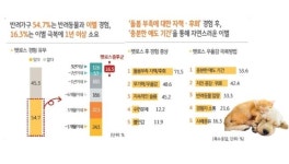 [펫 상조 산업의 미래 下] 영원히 기억할개…댕냥이 장례 넘어 AI 추모까지 플랫폼의 진화