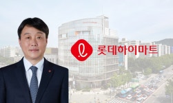 롯데하이마트, 매출 5년 새 40% 급감…점포 줄여도 수익성 회복 ‘제자리’