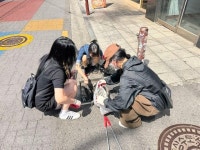 [ESG] 미림여고, 관악산·신림역 플로깅 활동 전개…“깨끗한 지역 만들기 학생들도 앞장 서”