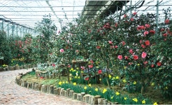 꽃향기 따라 마음도 무지개로 물들어간다