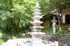 사과꽃 향기에 몸을 싣고~