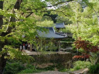 청정한 봄바람을 맞으며 대나무 숲을 거닐다
