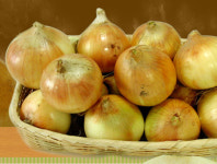 웰빙의 만점식품, 양파