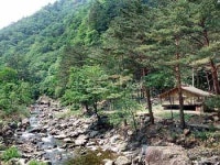 숲속으로의 여행을 함께 떠나보자!