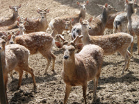 직접 가꾸고 만지며 자연과 더불어 살아요