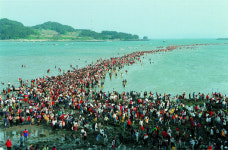 전남 진도, 신비의 바닷길 축제!