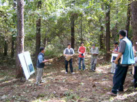 [강원]벌채부터 조림까지 맞춤형 산림경영