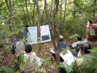 [강원]벌채부터 조림까지 맞춤형 산림경영